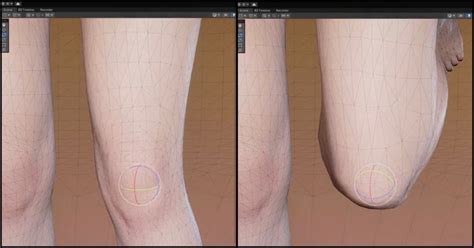 Image result for Muscle Simulator GUI