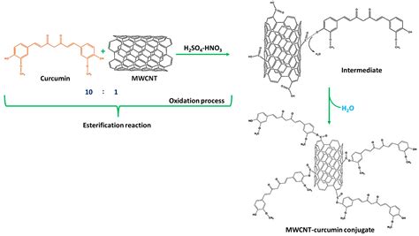 Fabrication of Curcumin-Based Electrochemical Nanosensors for the ...