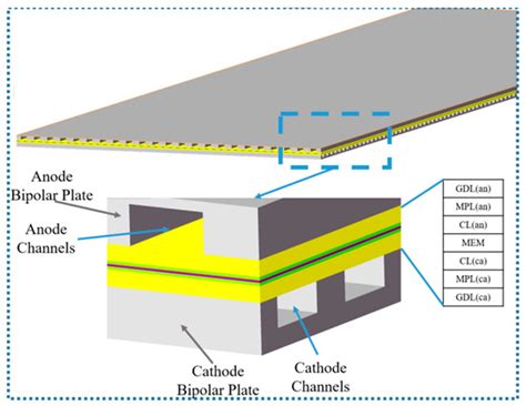 Study on Self-Humidification in PEMFC with Crossed Flow Channels and an ...