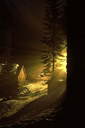 Night at Quaker Meadows Camp Sequoia National Forest Journal : Cool ...