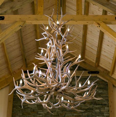 Mule Deer Antler Chandelier at Stephanie Fleming blog