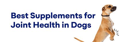 Dog Joint Supplements: Hip Pain & Mobility | K9 Vitality