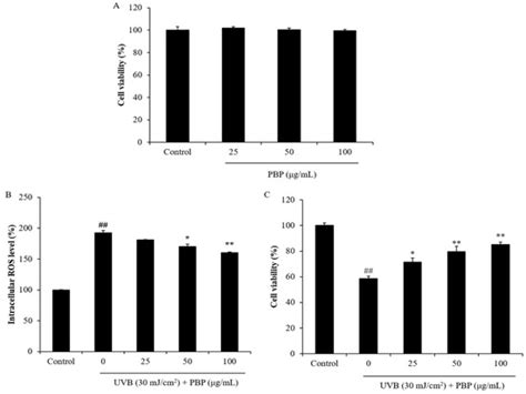 Anti-Melanogenesis and Anti-Photoaging Effects of the Sulfated ...