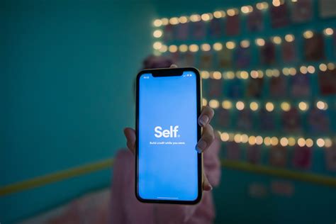 How Do I Pay My Petco Credit Card | LiveWell