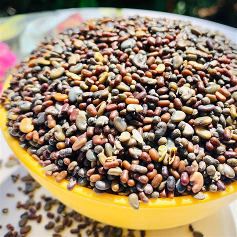 Magic 3 Green Manure Seed Mix – Vintage Farmers