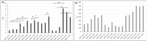 Investigation and Comparison of Active and Passive Encapsulation ...