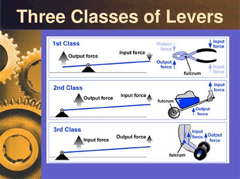 Image result for Types of Levers