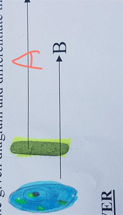 Identify the given diagram and differentiate them with valid points.-AB ...