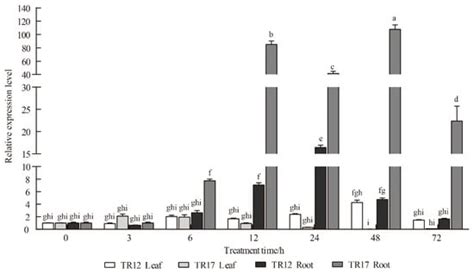 RsSOS1 Responding to Salt Stress Might Be Involved in Regulating Salt ...