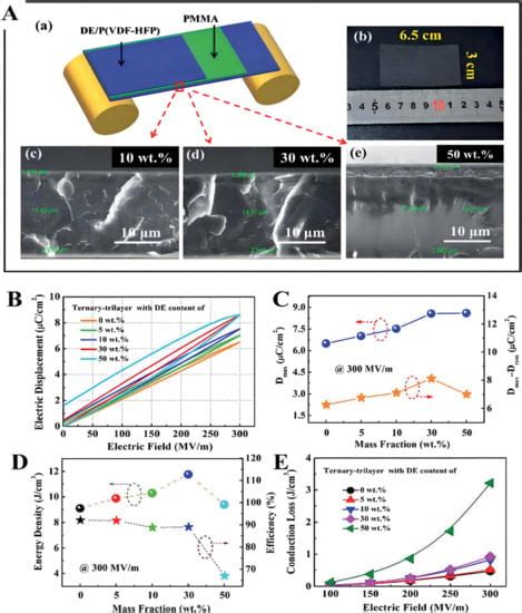 Research Advances in Hierarchically Structured PVDF-Based All-Organic ...