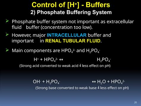 Buffer Systems definition, mechanism of action and importance in ...