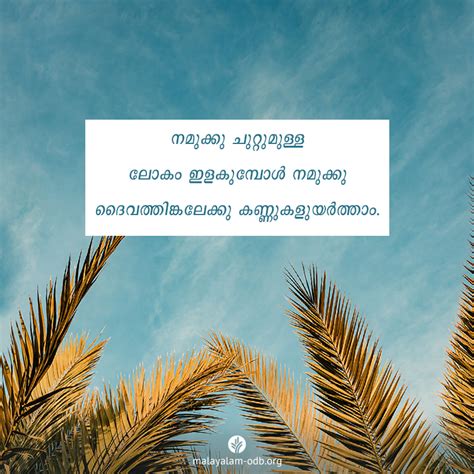 നിത്യമായ കണ്ണുകള്‍ | നമ്മുടെ പ്രതിദിന ആഹാരം