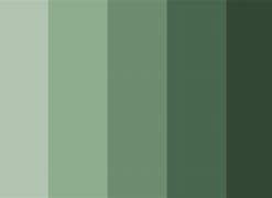 Image result for Grey and Green Color Palette