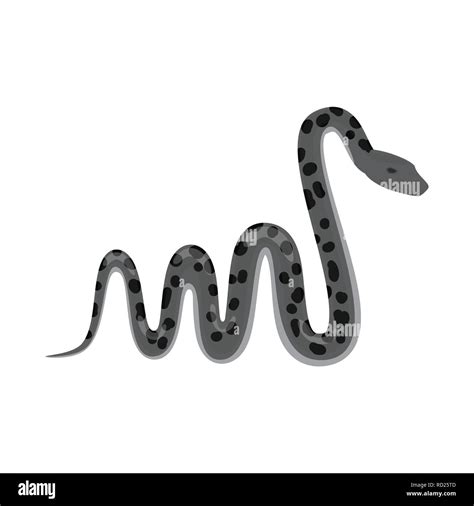 Image result for Python Snake Tail