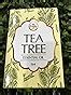 Buy The Beauty Co. Tea Tree Oil For Acne and Blemish-Free Skin, 15 ml ...