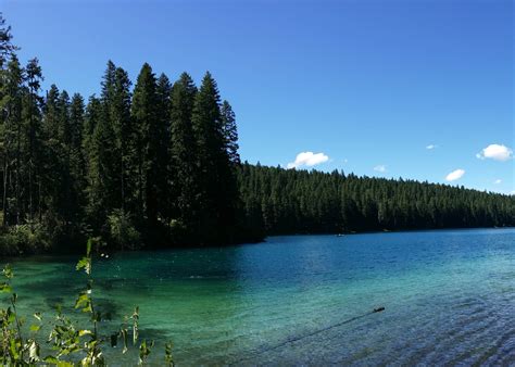 Coldwater Cove Campground Camping | The Dyrt