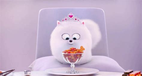 Image - Princess Gidget.png | The Secret Life of Pets Wiki | FANDOM ...
