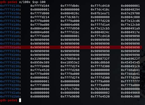 Visual Example of Buffer Overflow 的图像结果