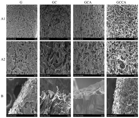 Cosmetic, Biomedical and Pharmaceutical Applications of Fish Gelatin ...