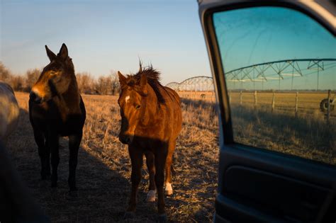 Elevation of Wheatland, WY, USA - Topographic Map - Altitude Map