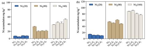The Effects of Coexisting Elements (Zn and Ni) on Cd Accumulation and ...