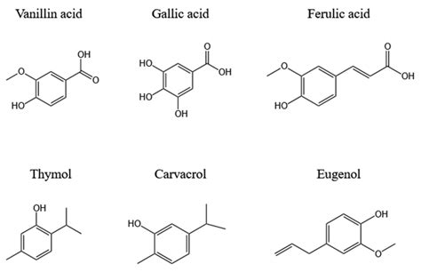 Natural Extracts and Their Applications in Polymer-Based Active ...