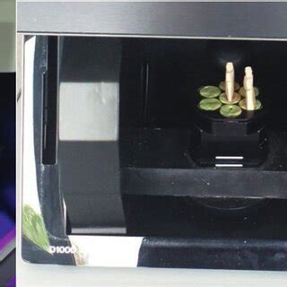 Image result for Scanning Process for Scan Body and Model