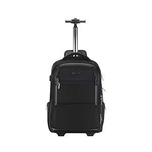 Buy Carlton Hampshire 05 29 Ltrs Black Laptop Trolley Backpack at Amazon.in