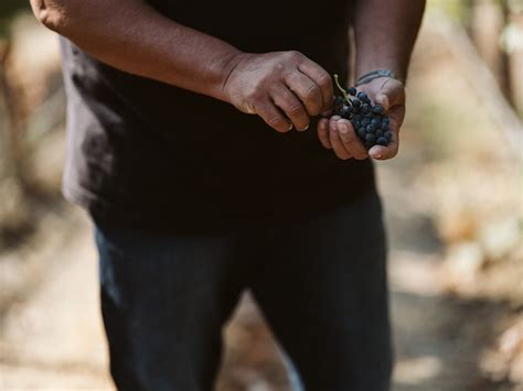 OUR STORY | Crafting Exceptional Washington Wines Since 1999 — Mark ...