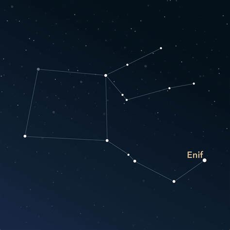 Constellation Pegasus | Interesting Information & Images