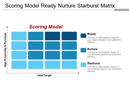 Image result for What Is a Scoring Matrix