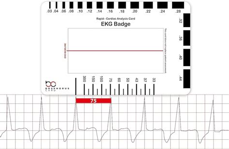 EKG PVC Badge Card Accurately Interpret ECG/EKG India | Ubuy