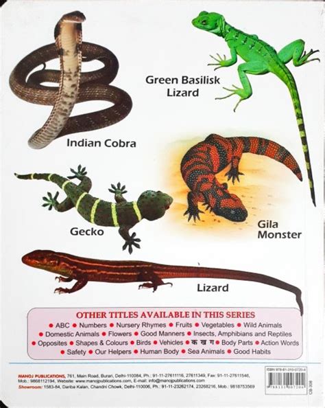 My First Board Book of Insects Amphibians And Reptiles - Wipe & Clean ...
