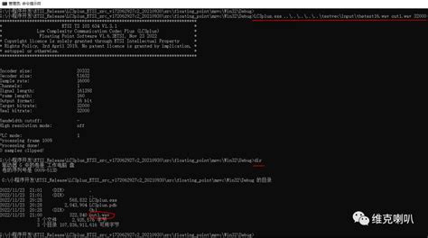 LC3 Tutorial 的图像结果