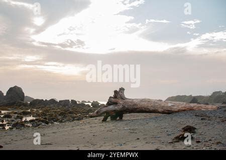Visited the tidepools of Crescent City, California. Saw lots of ocean ...