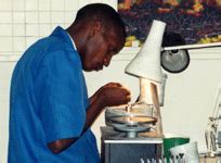 Image result for Tsavorite Grading Chart