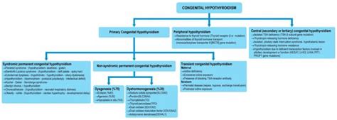 Clinical Insight into Congenital Hypothyroidism Among Children