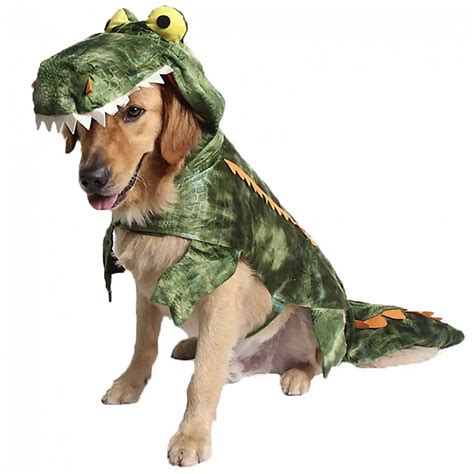 20 Cute Halloween Costumes for Extra Large Dogs (up to 3XL!) - Hey ...