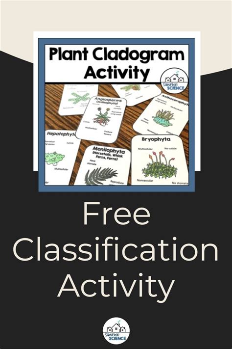 Image result for CLIL Lesson On Classifying Plants