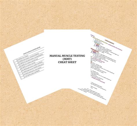 Image result for MMT Code