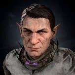 Steel Watch Foundry - bg3.wiki