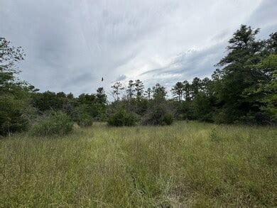 T2 Round Prairie Rd, Huntsville, TX 77320 [Lot/Land] | Homes.com