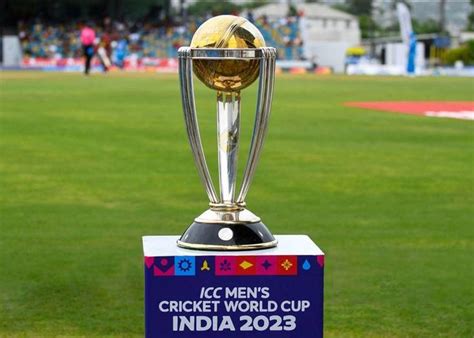 Image result for CWC Trophy