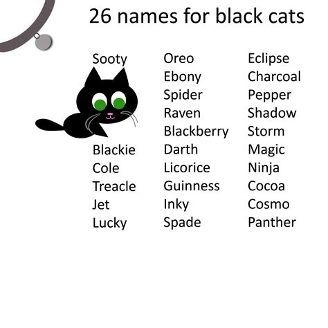 Cat care tips black cat names for your your black cat. | Names for black cats, Cat names, Grey ...