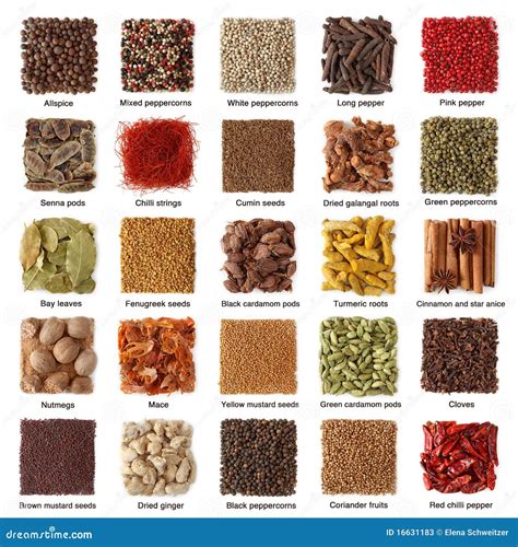 Indian spices collection stock image. Image of oriental - 16631183