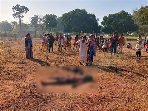 Wild elephant kills 6 people in Jharkhand's Chaibasa; Rampage leaves 16 ...