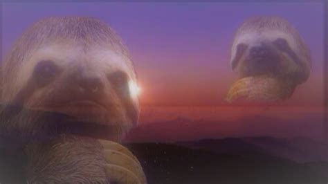 Knowledge Is Power Meme 的图像结果