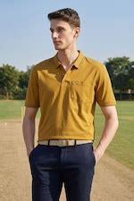 Peter England Casuals Polo T-Shirts, Men Yellow Ochre Solid Polo Neck T ...