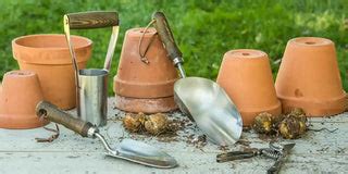 Image result for March Algorithm Checklist