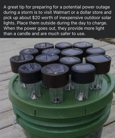 Image result for Best Mouse Trap Designs